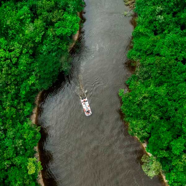 Amazonia-9